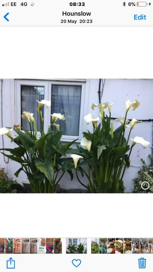 House Apartment Hounslow Exterior photo